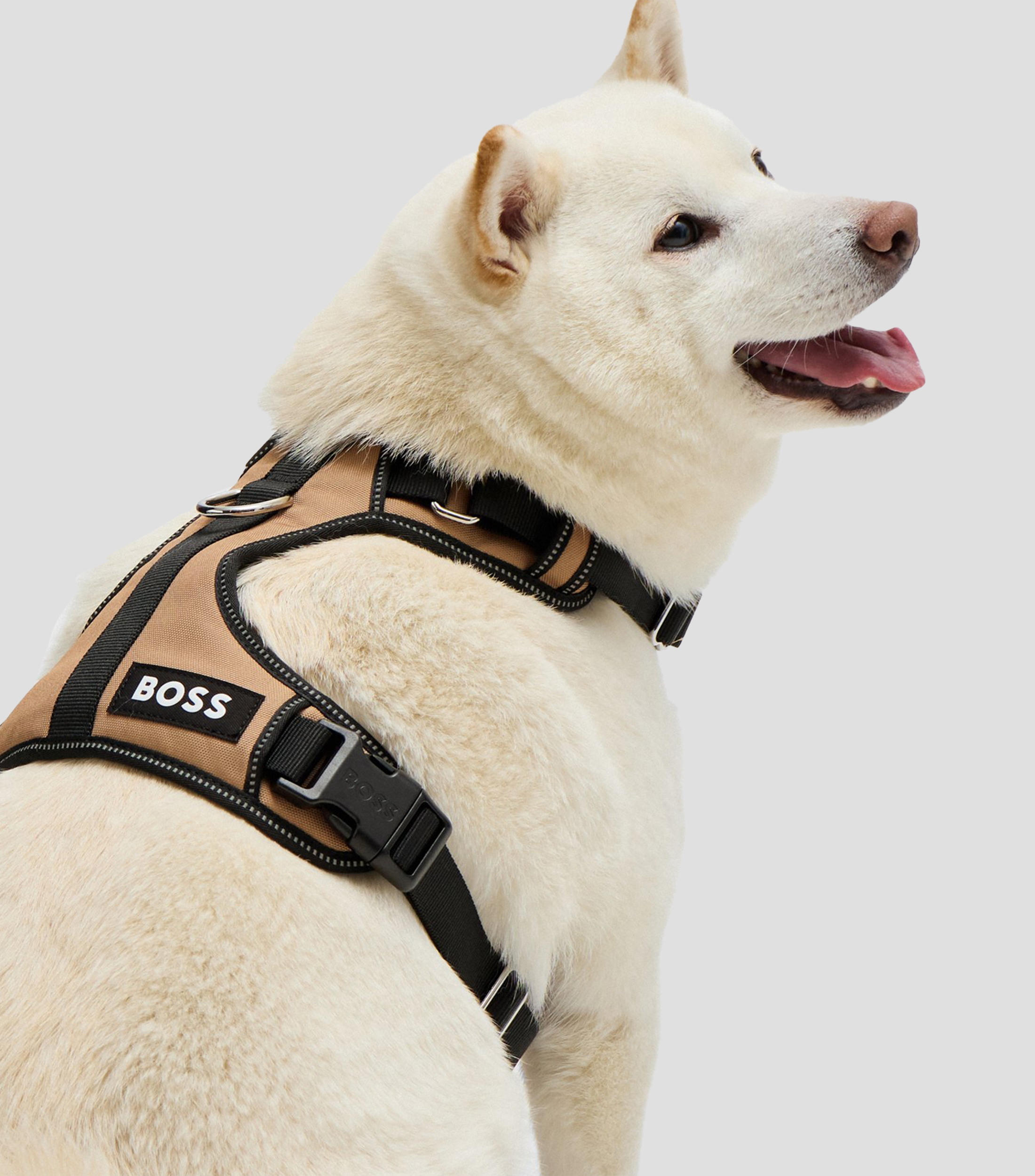 Arnés para perro con acolchado